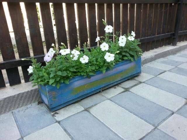 Гостевой дом Guesthouse Mestia 32 Местиа-20